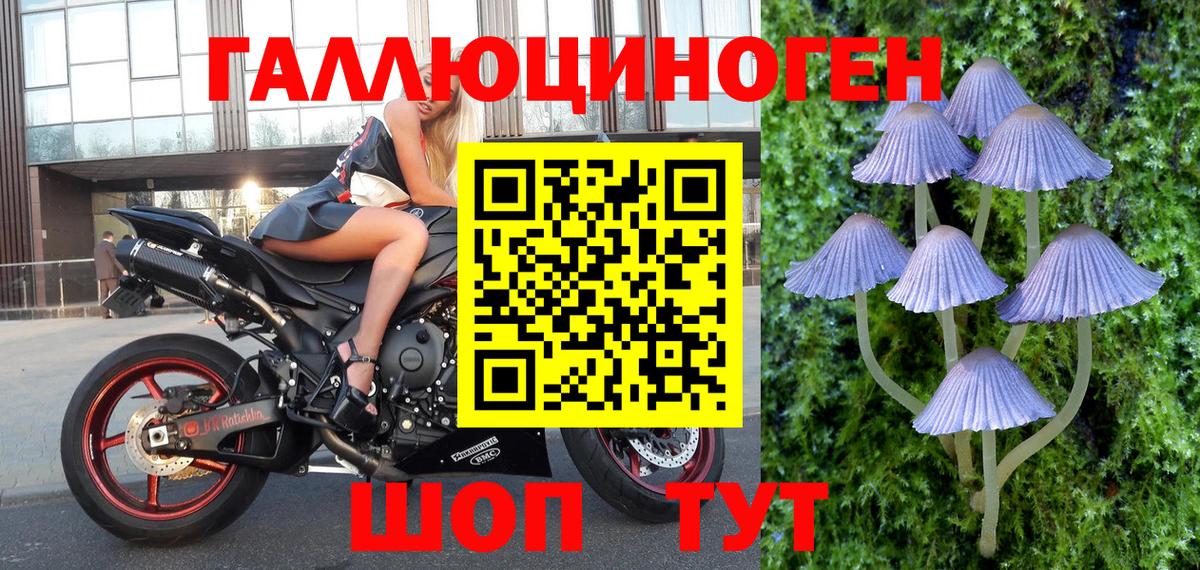 Ленинск-Кузнецкий  Галлюциногенные грибы мухоморы  Вход с VPN 