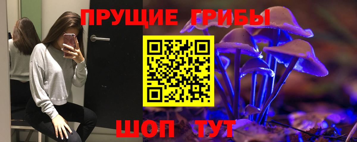 Псилоцибиновые грибы MAGIC MUSHROOMS Ленинск-Кузнецкий